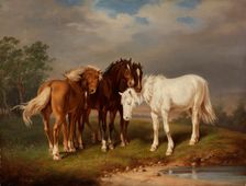 Horses, after Carl Wahlbom, 1864. Creator: Magnus von Wright