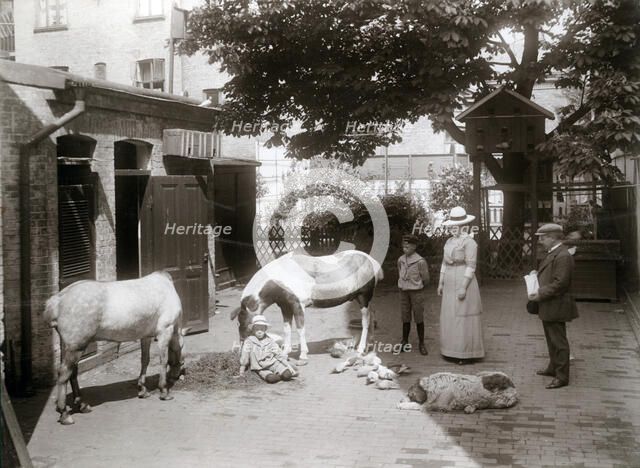 Horses and a dog in a stable yard in the centre of Landskrona, Sweden, 1912. Artist: Unknown