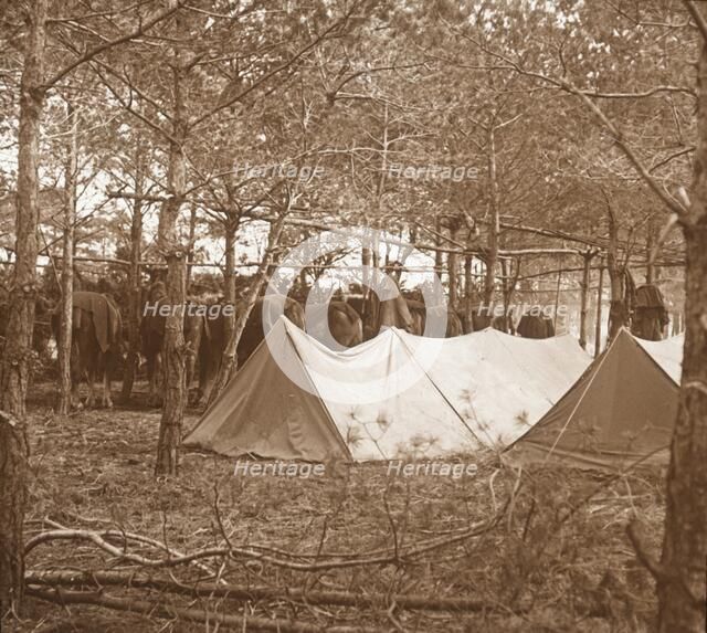 Horses' billet, Suippes, northern France, c1914-c1918. Artist: Unknown.