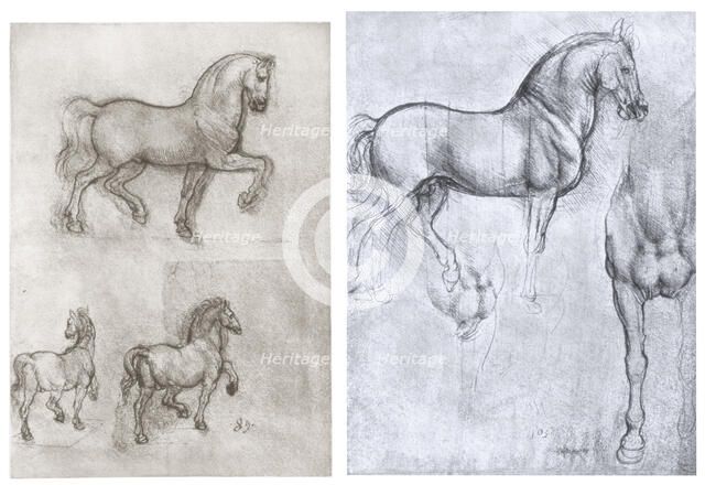 'Horses', c1490-1510. Artist: Leonardo da Vinci