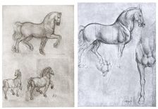 Horses c1490-1510. Artist: Leonardo da Vinci
