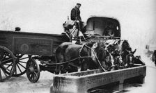 Horses drinking from a cattle trough, London, 1926-1927