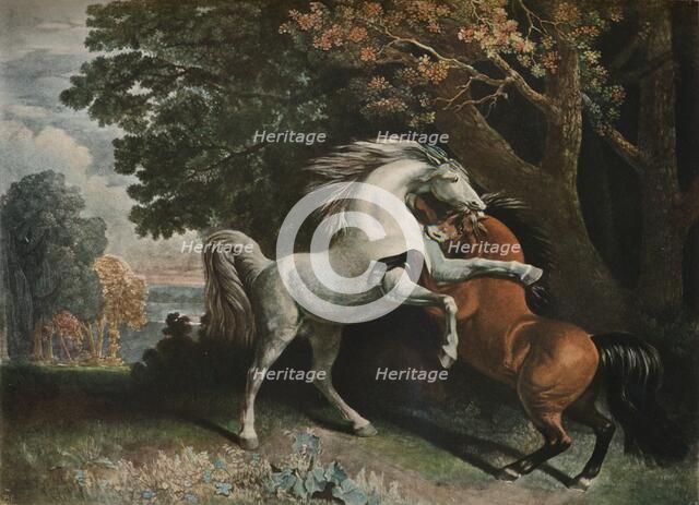 Horses Fighting, c18th century, (1902). Artist: George Townley Stubbs