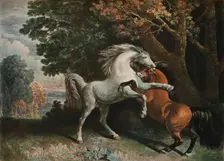 Horses Fighting, c18th century, (1902). Artist: George Townley Stubbs