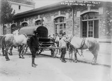 Horses for 59th Regt. requisitioned near Paris, 14 Aug 1914. Creator: Bain News Service