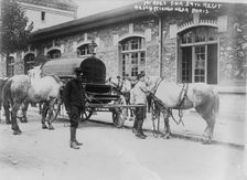 Horses for 59th Regt. requisitioned near Paris, 14 Aug 1914. Creator: Bain News Service
