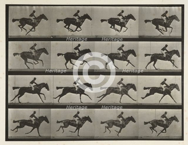Horses. Gallop; thoroughbred bay mare (Annie G) with male rider, 1872-1885. Creator: Eadweard J Muybridge.