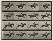 Horses. Gallop; thoroughbred bay mare (Annie G) with male rider, 1872-1885. Creator: Eadweard J Muybridge