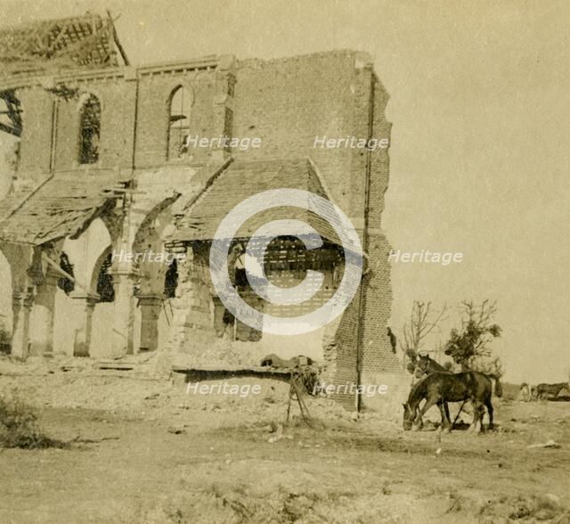 Horses grazing near ruined church, Frise, northern France, c1914-c1918. Artist: Unknown.
