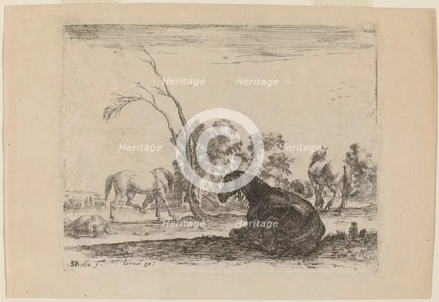 Horses in a Pasture, 1642. Creator: Stefano della Bella.