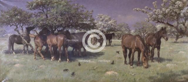 Horses in the deer park, 1896. Creator: Hans Michael Therkildsen.