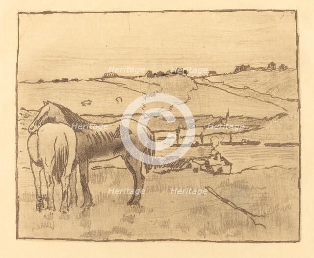 Horses in the Meadow (Chevaux dans la prairie), 1891/1892. Creator: Edgar Degas.