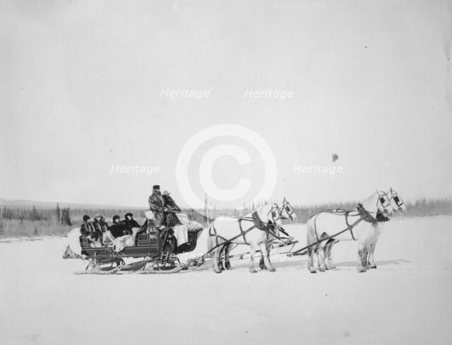 Horses pulling U.S. Mail sled, between c1900 and 1927. Creator: Unknown.