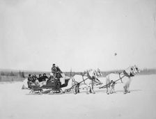 Horses pulling U.S. Mail sled, between c1900 and 1927. Creator: Unknown