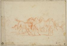 Horses, unknown date. Creator: Anon