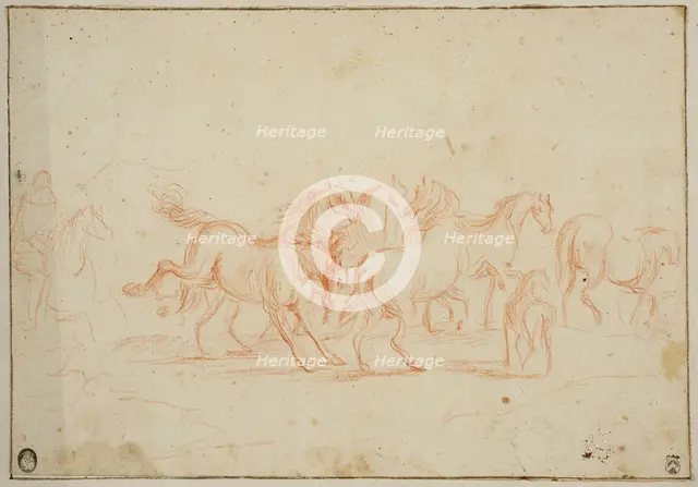 Horses, unknown date. Creator: Anon.