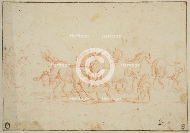 Horses, unknown date. Creator: Anon.