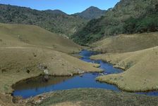 Horton plains grassland and forest. Artist: CM Dixon