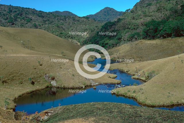 Horton plains grassland and forest. Artist: CM Dixon Artist: Unknown