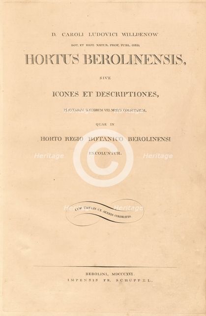 Hortus Berolinensis, 1816. Creators: Carl Ludwig Willdenow, Friedrich Guimpel.