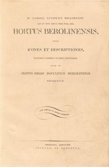 Hortus Berolinensis, 1816. Creators: Carl Ludwig Willdenow, Friedrich Guimpel