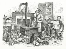 Hospital for cats, 1882. Creator: Unknown