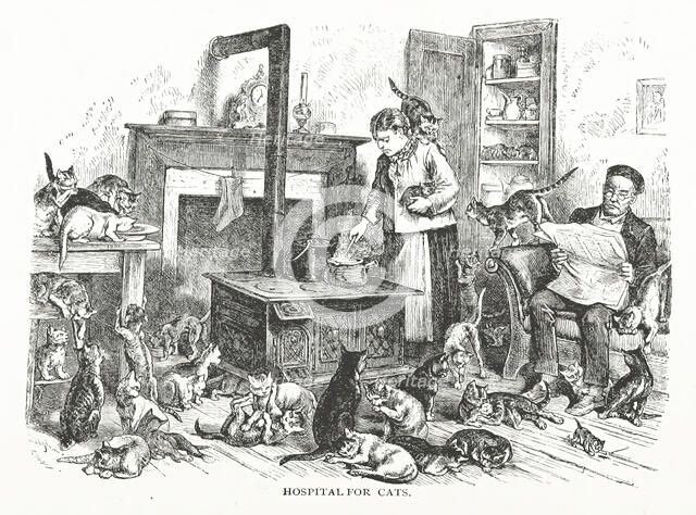 Hospital for cats, 1882.  Creator: Unknown.