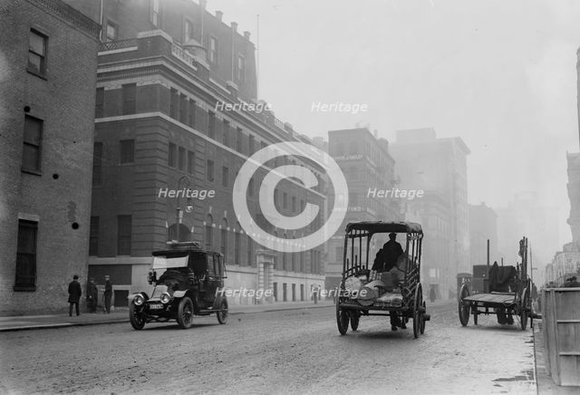 Hospital of N.Y. Women's League for Animals, 1914. Creator: Bain News Service.