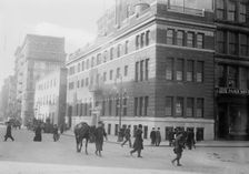 Hospital of N.Y. Women's League for Animals, 1914. Creator: Bain News Service