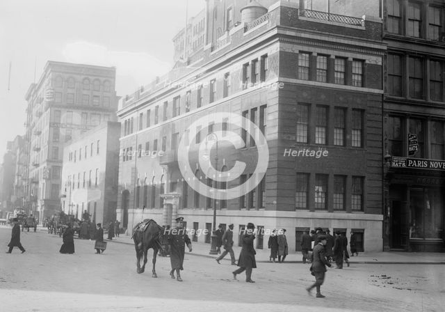 Hospital of N.Y. Women's League for Animals, 1914. Creator: Bain News Service.