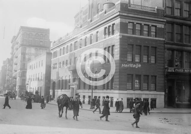 Hospital of N.Y. Women's League for Animals, 1914. Creator: Bain News Service.