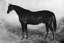 Hospitality 19th century, (1911)