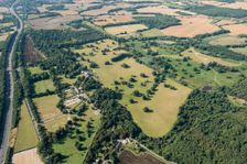 Hatch Park, Kent, 2016. Creator: Damian Grady