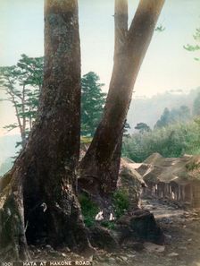 Hata at Hakone Road, Japan, early 20th century(?)