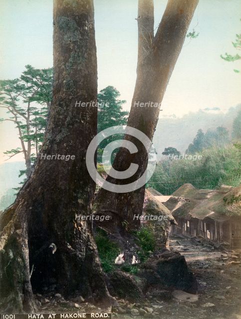 Hata at Hakone Road, Japan, early 20th century(?). Artist: Unknown