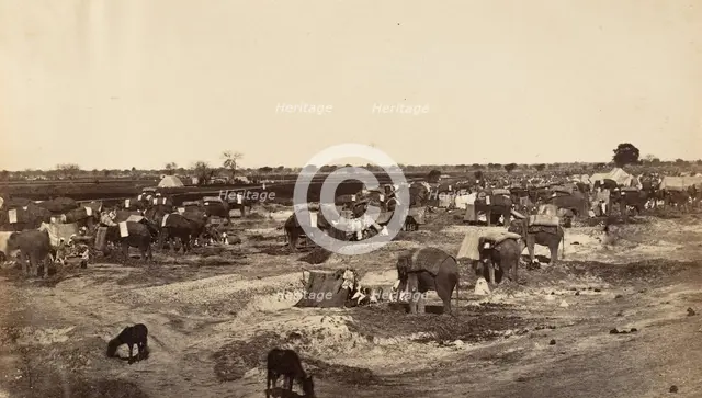 Hatti Kana-The Elephant Camp, 1858-61. Creator: Unknown.