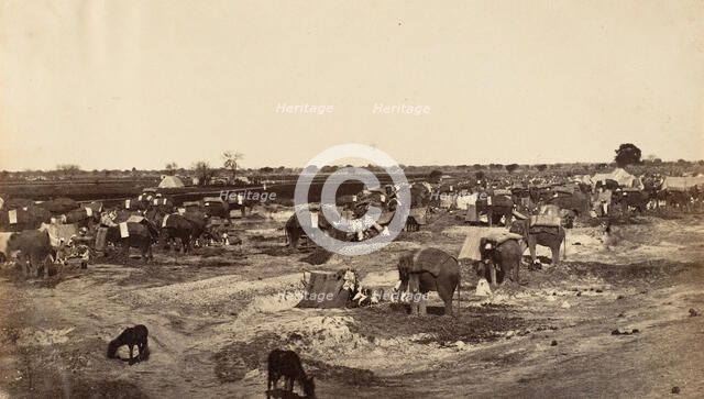 Hatti Kana-The Elephant Camp, 1858-61. Creator: Unknown.