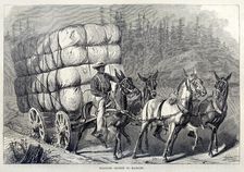 Hauling Cotton to Market, from One Hundred Years Progress of the United States, pub. 1871 (engravin Creator: American School (19th Century)