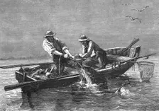 Hauling in a Drum-Fish; A Flying Visit to Florida 1875. Creator: Thomas Mayne Reid