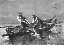 Hauling in a Drum-Fish; A Flying Visit to Florida 1875. Creator: Thomas Mayne Reid