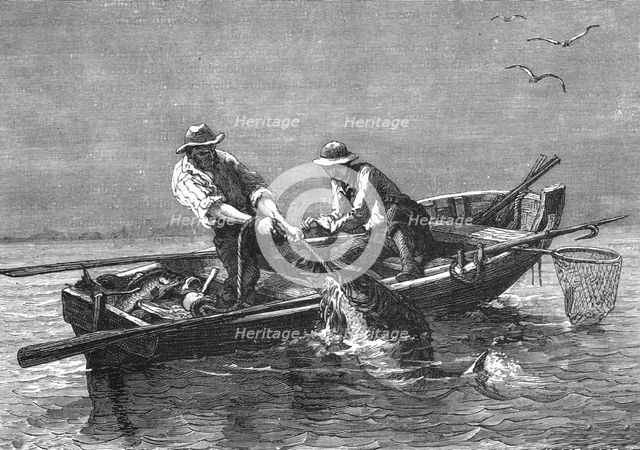 'Hauling in a Drum-Fish; A Flying Visit to Florida', 1875. Creator: Thomas Mayne Reid.
