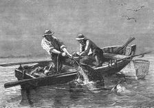 Hauling in a Drum-Fish; A Flying Visit to Florida 1875. Creator: Thomas Mayne Reid
