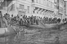 Hauling in a Grippo of 15000 Fish at Emirgian on the Bosphorus c1901, (1903)