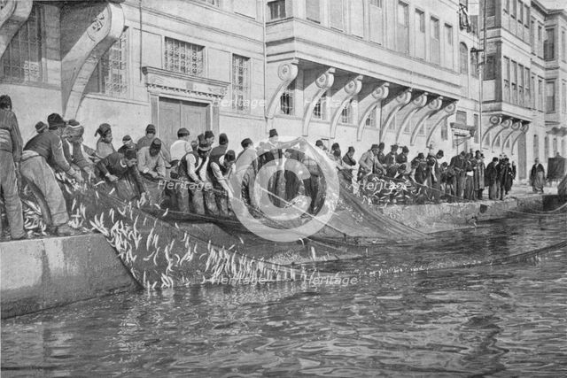 'Hauling in a Grippo of 15000 Fish at Emirgian on the Bosphorus', c1901, (1903). Artist: Unknown.