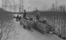 Hauling lumber by dog sleds, between c1900 and c1930. Creator: Unknown