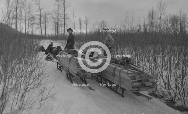 Hauling lumber by dog sleds, between c1900 and c1930. Creator: Unknown.