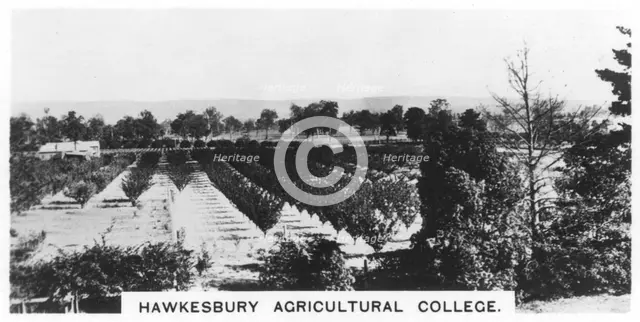 Hawkesbury Agricultural College, New South Wales, Australia, 1928. Artist: Unknown