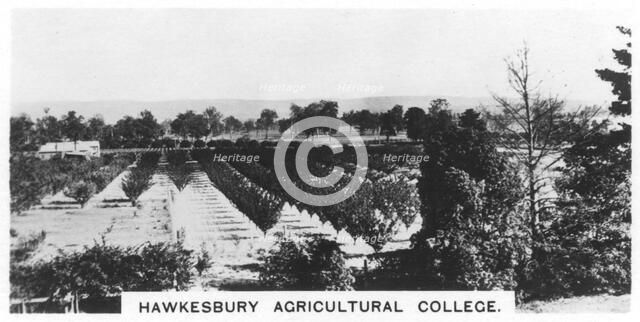 Hawkesbury Agricultural College, New South Wales, Australia, 1928. Artist: Unknown