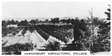 Hawkesbury Agricultural College, New South Wales, Australia, 1928