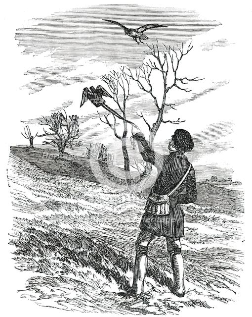 Hawking - the Lure, 1850. Creator: Unknown.